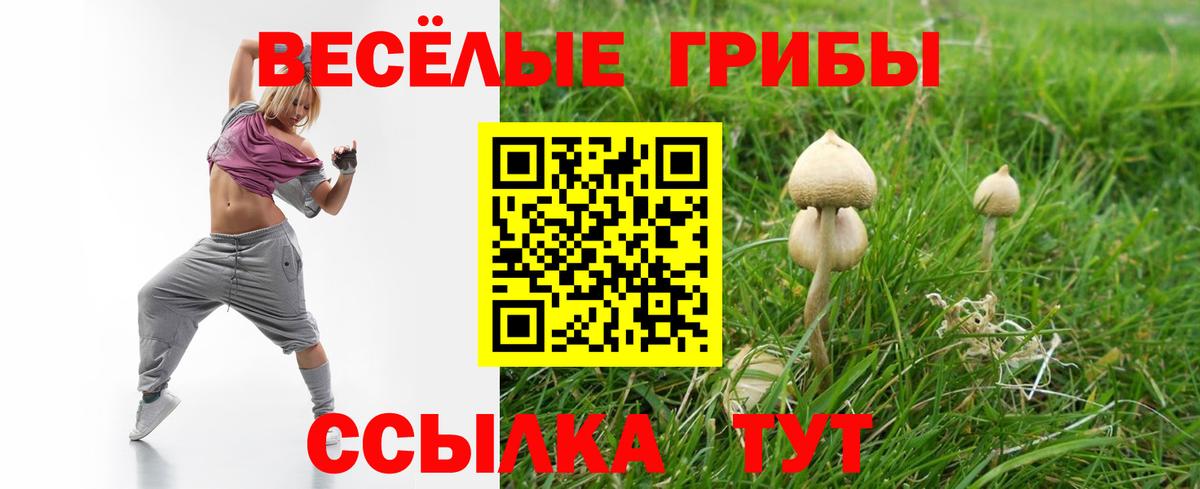 Галлюциногенные грибы MAGIC MUSHROOMS  купить закладку  Галлюциногенные грибы GOLDEN TEACHER  Подольск  Вход с VPN 