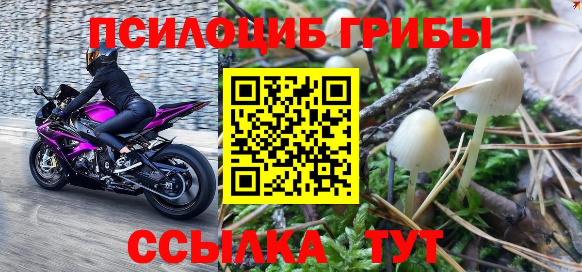 Псилоцибиновые грибы прущие грибы Подольск